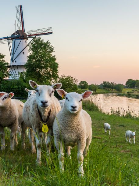 Betuwe, The Netherlands