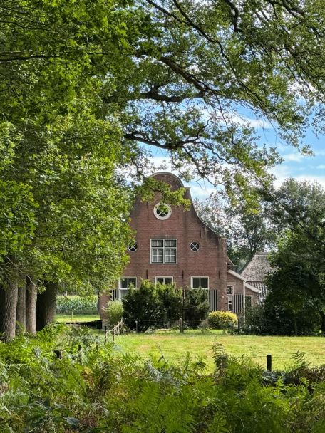 Eindeloze boswandelingen