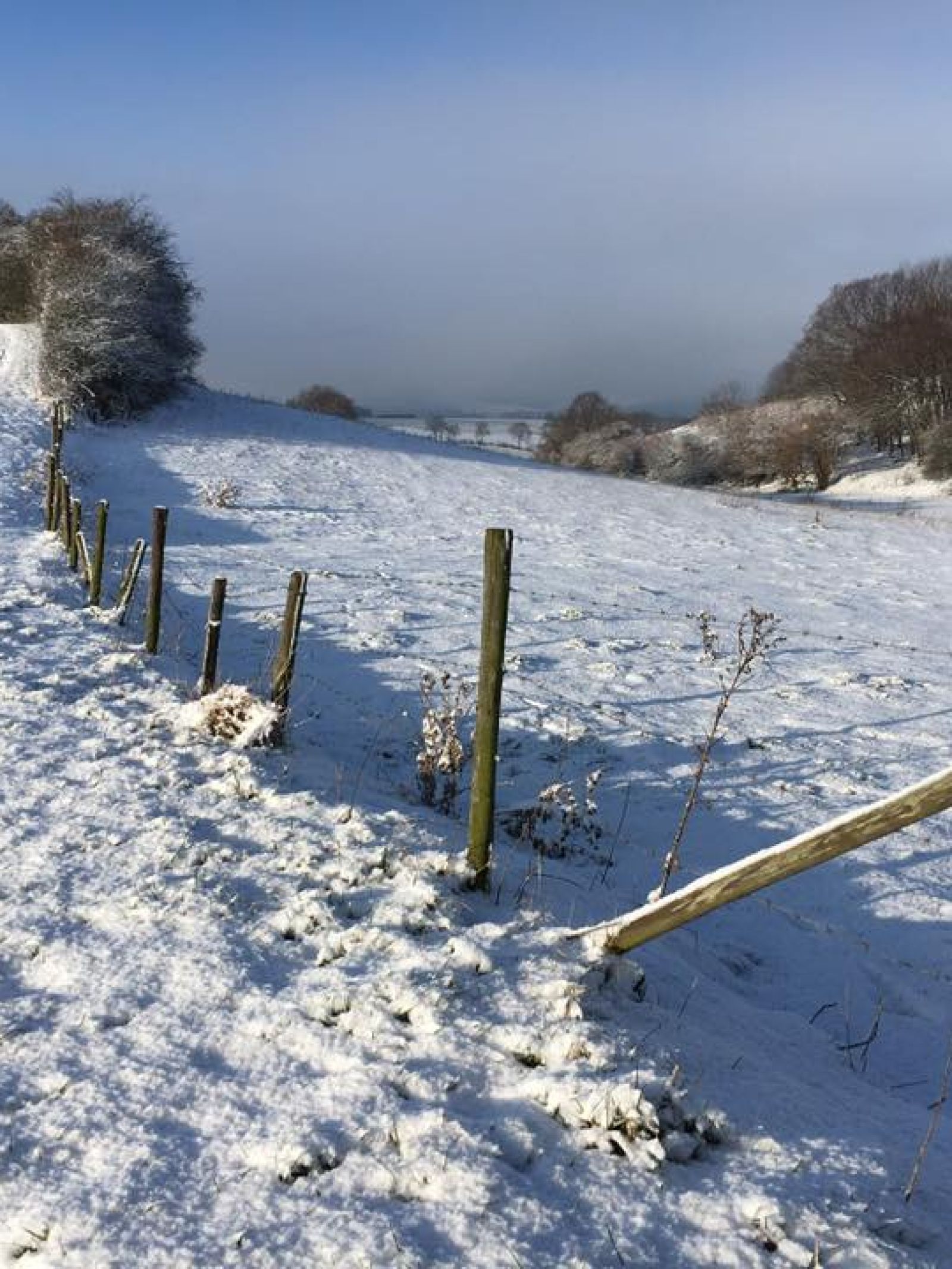 Plattelandswinter