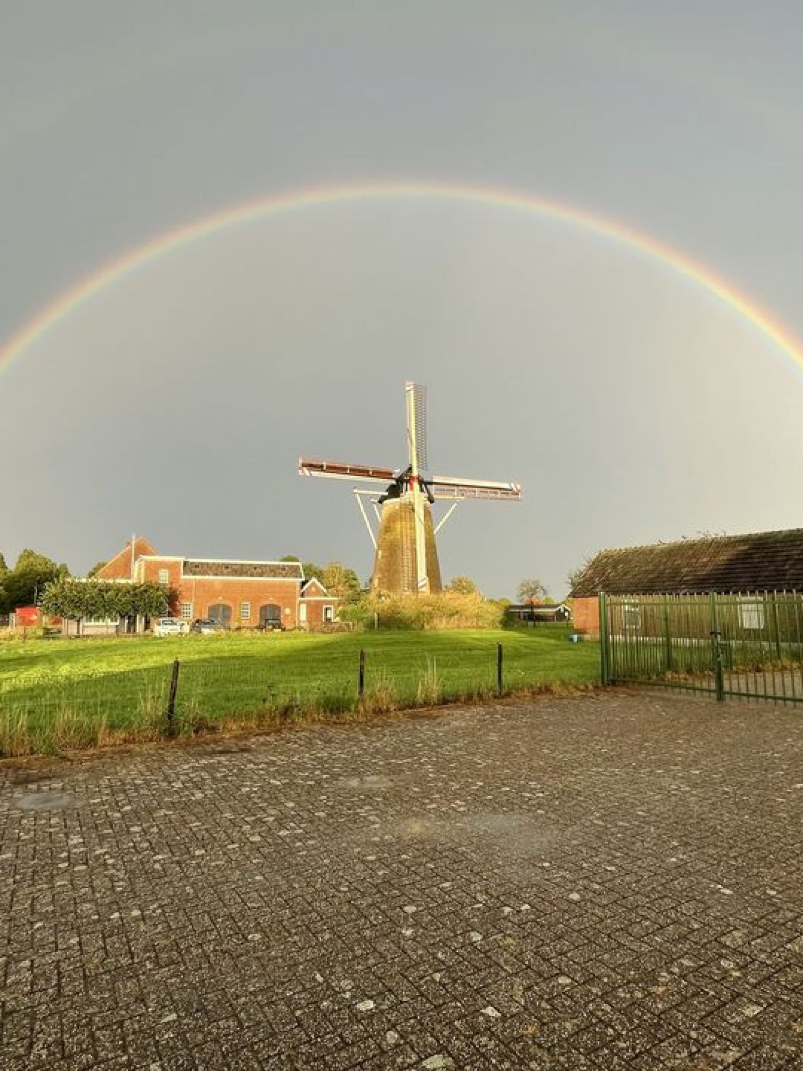 Vier de vrijheid