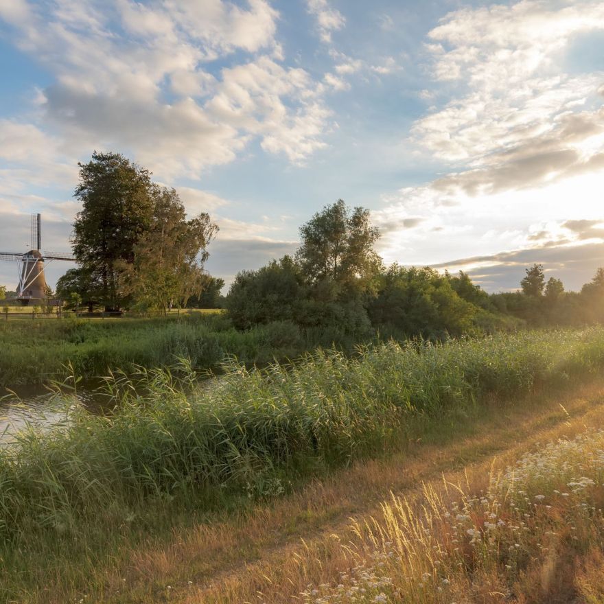 Zoektocht naar wat nooit gevonden kon worden