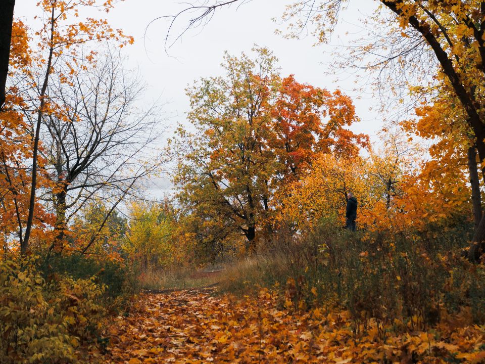Herfststormen