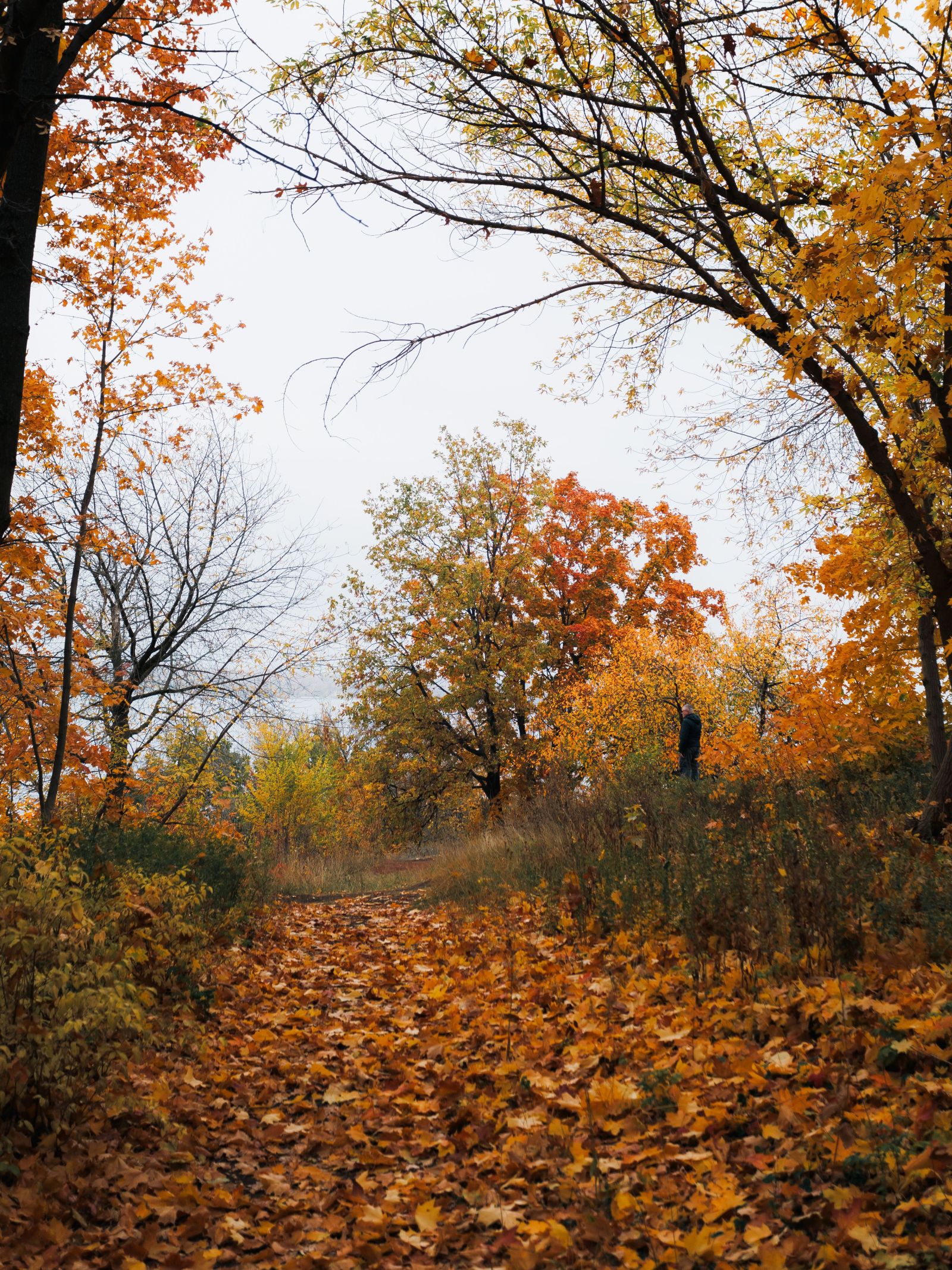 Herfststormen