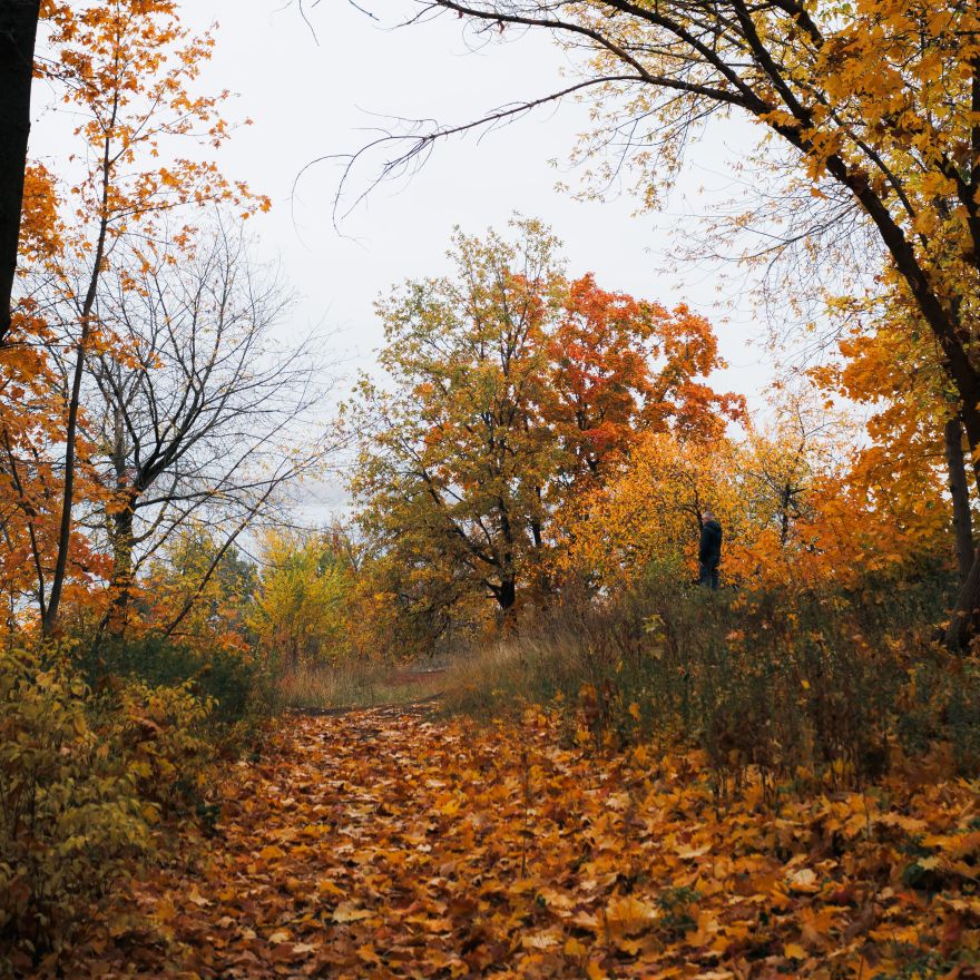 Herfststormen