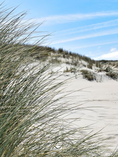Het brede zandstrand wacht lekker gemoedelijk op wandelafstand.