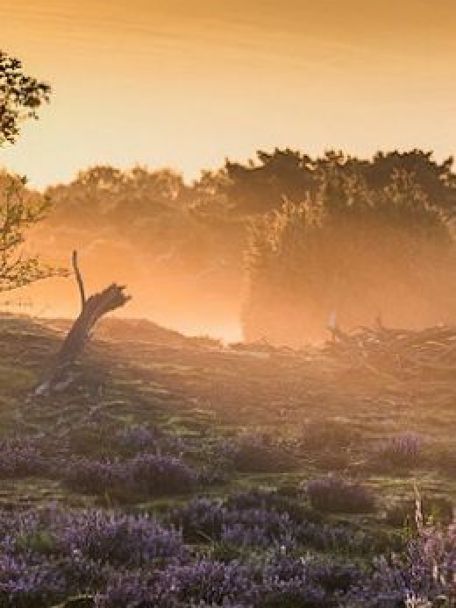 Het landschap rond Eext behoort tot het mooiste van Drenthe met essen, heide, beekdalen en bossen.