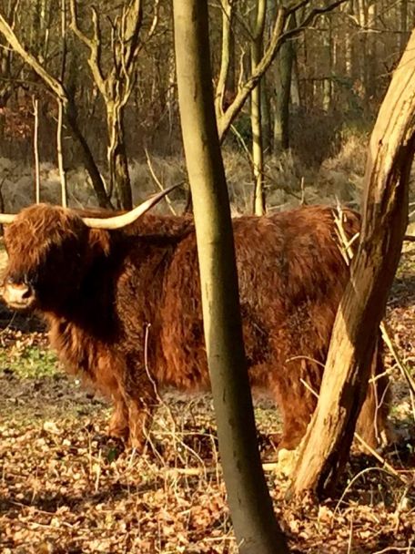 Castricum ligt aan de rand van het bosrijke Noord-Hollands duinreservaat bij een rustig Noordzeestrand. In het dorp is een keur aan winkels en restaurants.