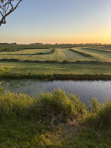 Noardeast-Fryslân combineert uitgestrekte natuur, historische terpdorpen, dijken en wadgezichten.