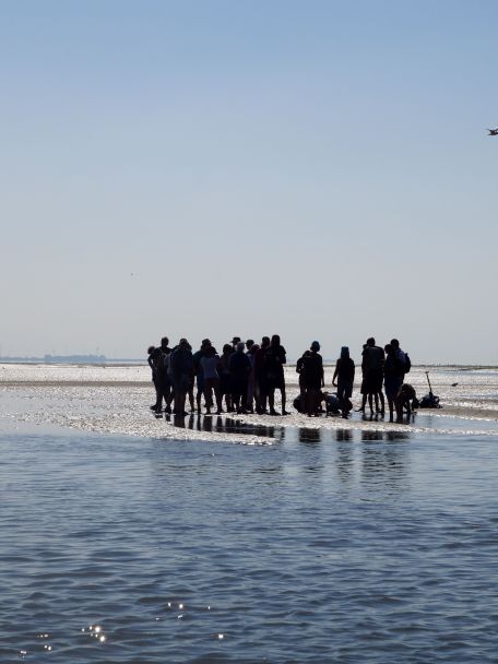 De kust van Noardeast-Fryslân grenst aan de Waddenzee. Bij laag water kun je eindeloos uitkijken over slikken en zandplaten.
