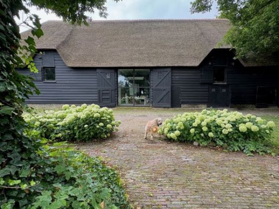 Bed & Breakfast Groot ter Hooge