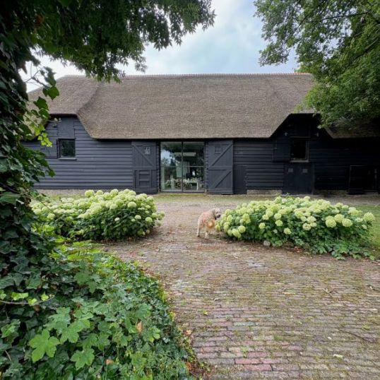 Bed & Breakfast Groot ter Hooge