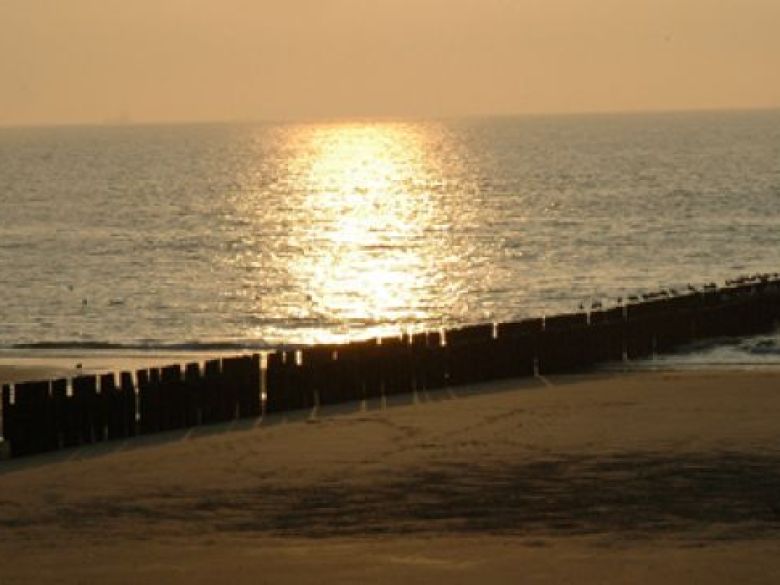 07082e110cd36bedcc6edaa82ce301c70bad7a5ad9fb0ccfcba61f5e26f01c03.jpg