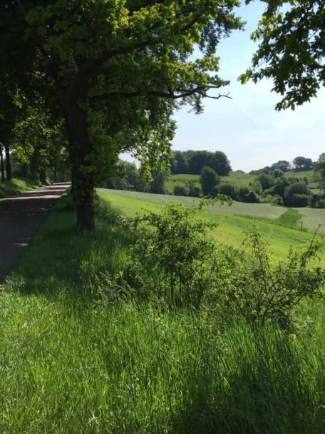 The landscape? Paths, a quarry on the right and left, steep descents and a mix of farmland, sunken lanes, woods and pools.