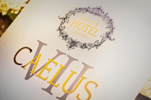 Boutique Hotel "Caelus VII"
