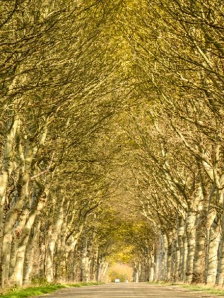 With its perfect combination of sea, beach, dunes, woods, polders, historic villages and towns, Walcheren is the ideal holiday destination.
