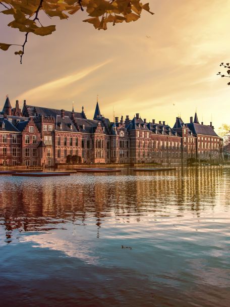 Den Haag is stijlvol, rustig, internationaal. Een stad vol met cultuur, statige wijken, chique winkelstraten, restaurants en eettentjes, kroegen en terrassen.
