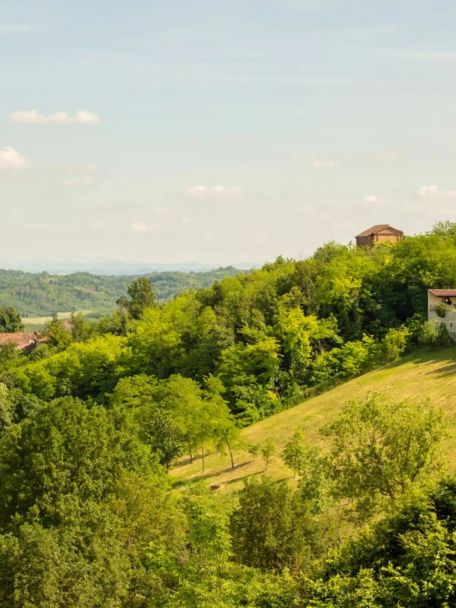 But actually, the landscape itself is the main attraction: rolling vineyards, castles perched on hilltops, cypress trees, small villages and hardly any traffic.