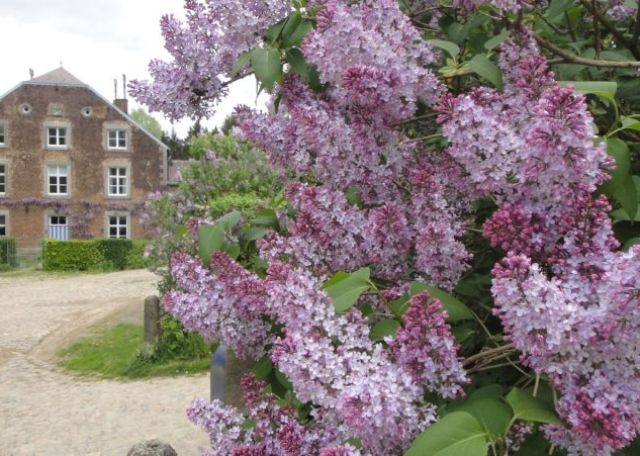 Chateau Cortils - Poorthuis