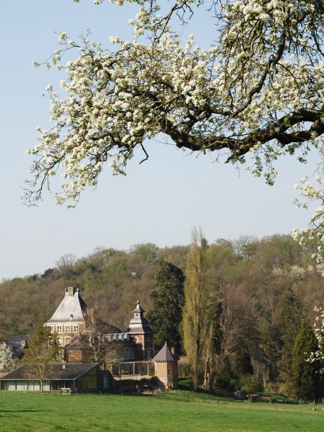Het Land van Herve wordt gekenmerkt door glooiende heuvels, een heggenlandschap, hoogstamboomgaarden, holle wegen en beekjes en oude hoeves.