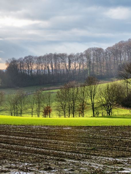 In de Vlaamse Ardennen worden tal van karaktervolle dorpen afgewisseld met prachtige natuur.