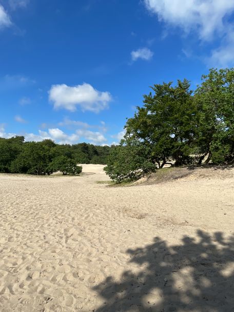 Nationaal Park de Maasduinen staat voor meer dan 100 km aan gemarkeerde routes en knooppunten met afwisselend bos, heide, stuifzand, vennen en meren.