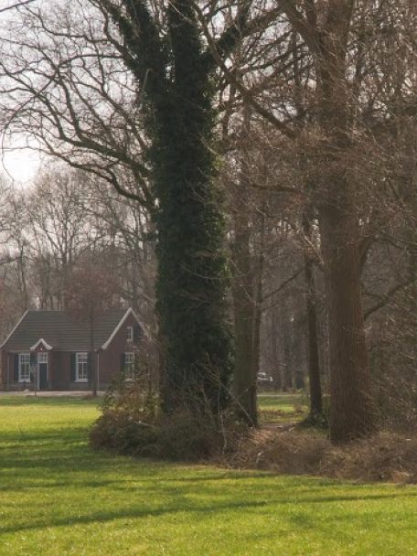 De directe omgeving is landelijk en bosrijk. Wandel- en fietstochten voeren langs weilanden, over zandpaden en door het bos.