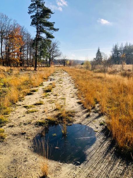 Knapzak Route 5 is a 15-kilometre walking route starting from Elp. You’ll walk past ancient ash trees, through newly created nature areas and through woods with beautiful ponds.