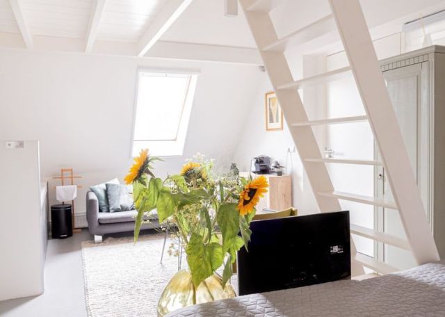 Suite 4