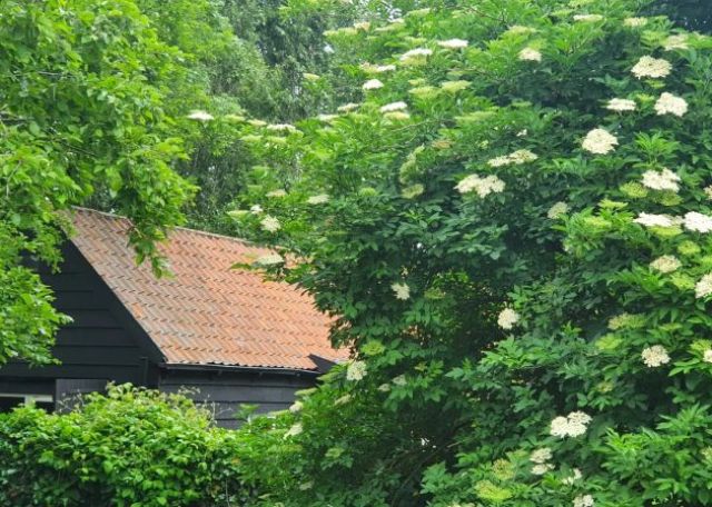 Hoeve Storm