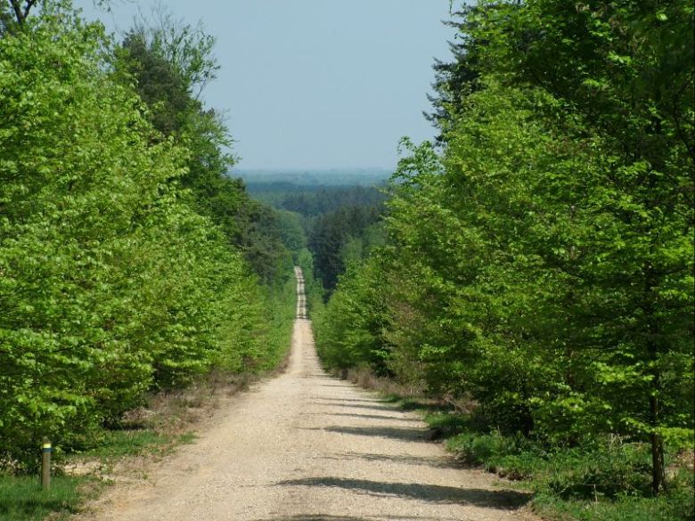 2c3eac108ab3efe3f9aa1d0f880b99fbb3ce1b4cc27b26f071b3c932c3661b45.jpg