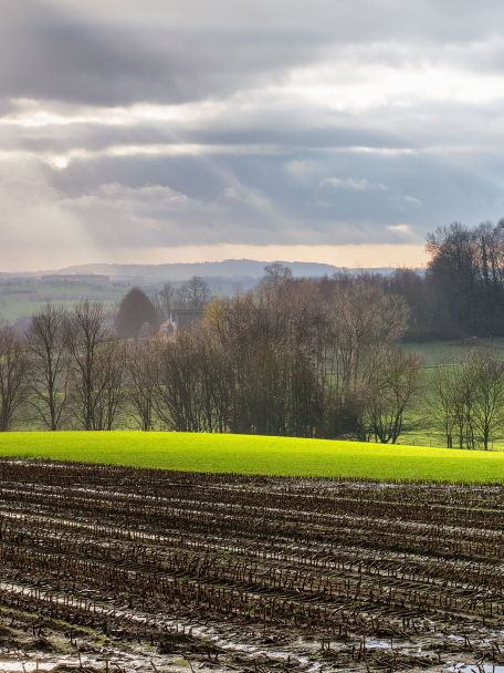 Bij de Thiérache moet je aan een rustig, licht glooiend land met veel weilanden en bocages (heggen) en kleine dorpen met rode bakstenen huizen denken.
