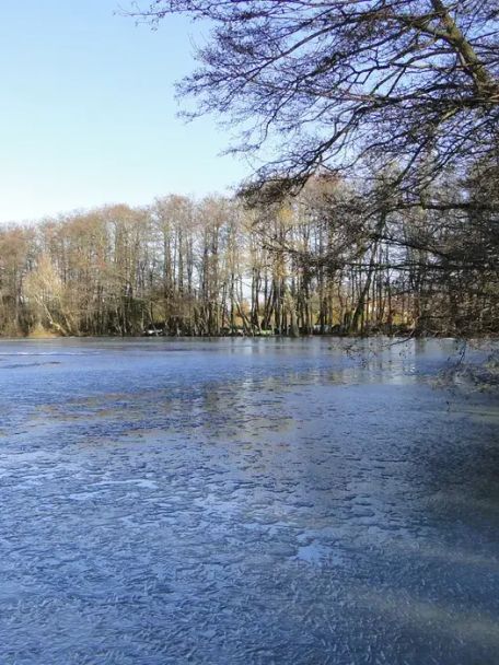 Dümmermeer en Naturpark Dümmer zijn een mix van moerasland, binnenmeer en heuvelland en een walhalla voor wie houdt van natuur, water en vogels.