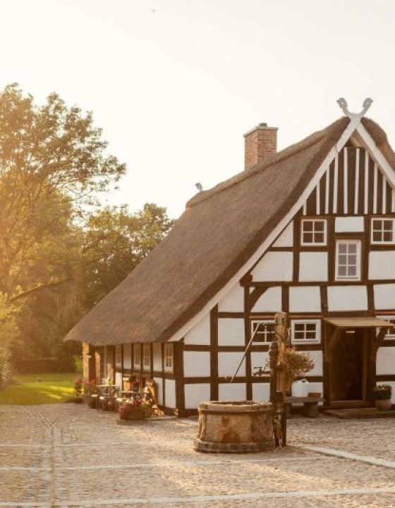 Dümmer Living