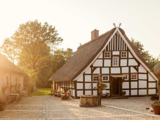 Dümmer Living