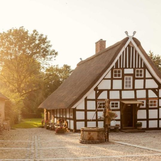 Dümmer Living