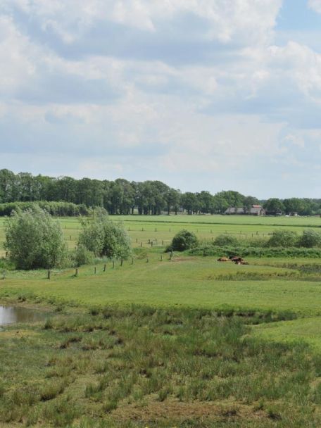 Midden in het karakteristieke coulisselandschap van Twente en op vijf km van het historische stadje Ootmarsum zit je hier voor een dubbeltje op de eerste rij.