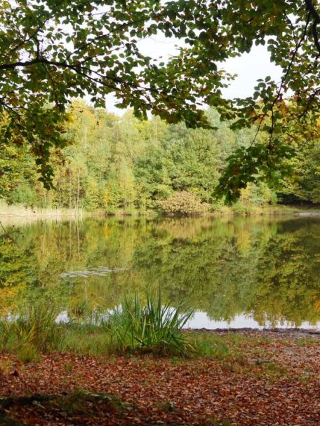 The Kempen nature reserve is characterised by numerous beautiful ponds, stunning sandy paths and tranquil heathland and marshes.
