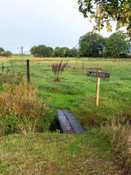 Holtingerveld is een prachtig natuurgebied met heidevelden, bossen, zandverstuivingen en vennetjes.