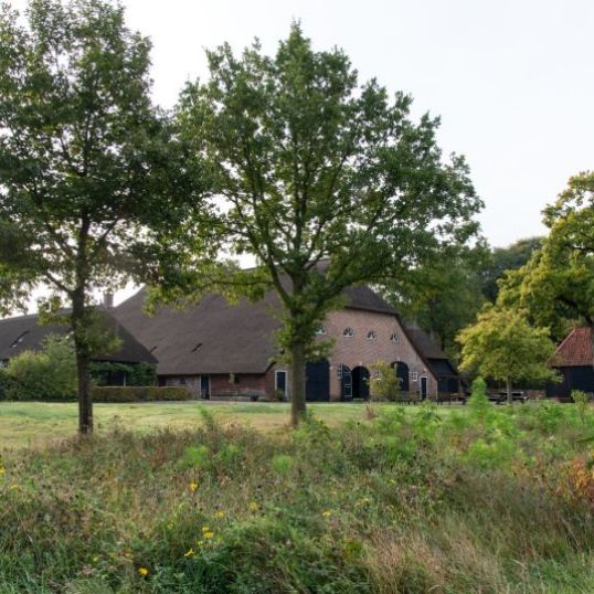 Havelterhoeve