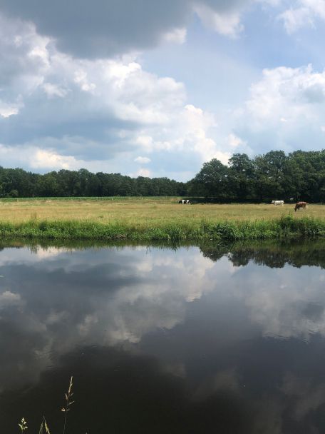 Het Vechtdal telt vijf Anjerpunten: locaties om de omgeving op een bijzondere manier te leren kennen.