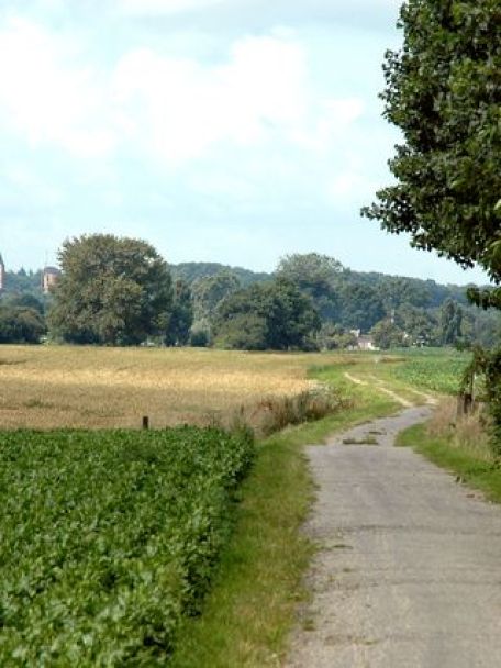 Akkers, weilanden, woeste loofbossen en vergezichten in een overwegend glooiend landschap, maakt dat het Montferland buitenlands aandoet.