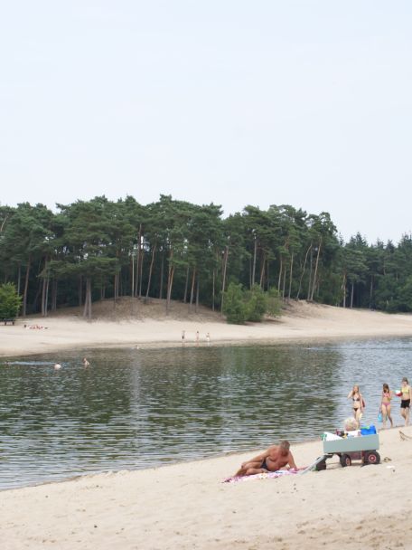 Recreatiegebied Henschotermeer staat voor helder water, een wit zandstrand en veel bos. In de zomer perfect om te zwemmen en het hele jaar om te wandelen.