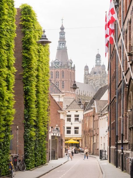 Den Bosch biedt een zeldzame combinatie van historie, sfeer en goed eten en dat maakt dat je Den Bosch niet even snel doet maar beleeft.