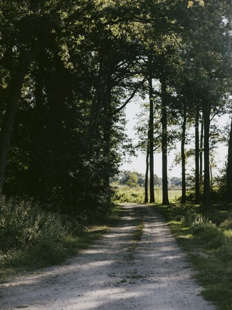 Het Kruishaarderpad is een nog langere en wat ruigere wandeling met meer afwisseling (weilanden + bos + heide).