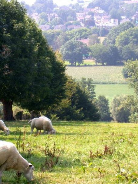 Het pittoreske dorp Vijlen ligt aan de geliefde Mergellandroute tussen Epen en Vaals en kijkt uit over het magnifieke Geuldal.