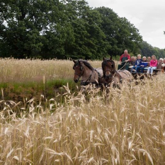 Hoeve Springendal