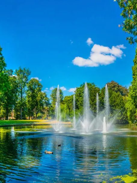 Stadspark Valkenberg is het mooiste stadspark van Breda en oorspronkelijk de kasteeltuin van de Nassaus.