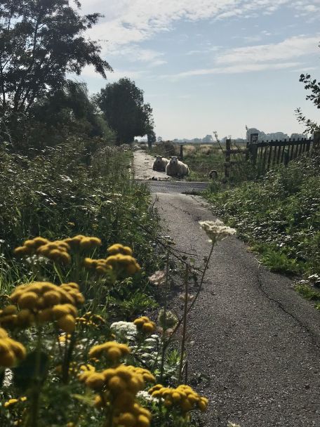 De Westhoek leent zich voor eindeloze wandelingen en fietstochten.