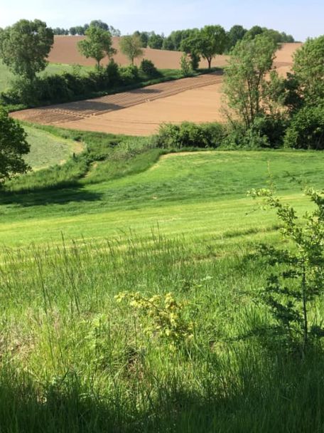 Rondom Valkenburg laat het Limburgse Heuvelland zich van zijn allermooiste kant zien.