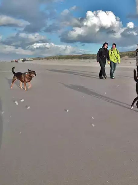 Vrouwenpolder is known for its wide beaches, which stretch for over 5 km.